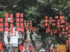 -越秀西湖花市(广州城市广场花卉店)