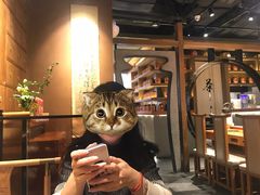 -呷哺呷哺(悦荟广场店)