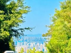 -金水泊山庄·花椒鸡(铁山坪店)