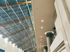 -南京奥林匹克体育中心-体育馆