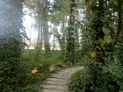 -广西壮族自治区药用植物园