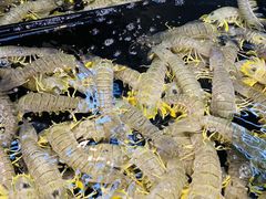 -海鲜e族(马王堆店)