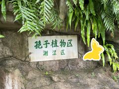 -深圳仙湖植物园