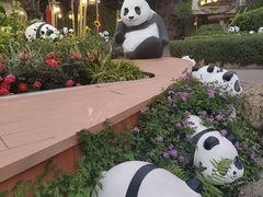 -香港海洋公园