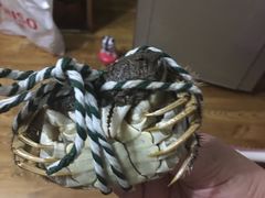 -珍宝蟹舫·巴城味道(巴城总店)