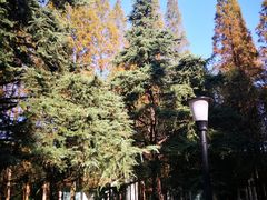 -上海怡沁园度假酒店