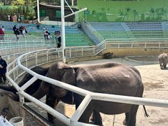 -大连森林动物园