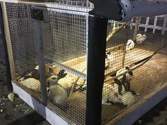-北京华联购物中心(天通苑店)