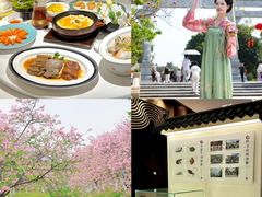 -金成潮菜博物馆(海珠湿地店)