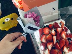 -小苍兰风铃草蛋糕甜品(沈阳店)