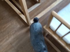 -仰生如卉推拿养生馆(酒仙桥店)