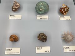 -天津古林古海岸遗迹博物馆