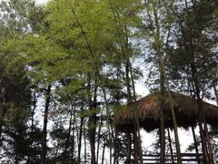 -重庆雨台山风景区