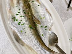 太湖白鱼-太湖饭店·寄畅轩中餐厅