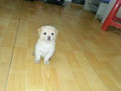 -红鼻子卤粉(总店)