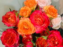 -察理王子(大润发店)