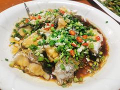 -全乐鱼馆·淳牌有机鱼直营店