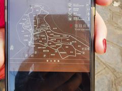 -合肥野生动物园
