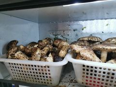 -藏味八珍特色火锅