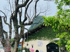 -村上春树