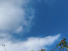 -T80科技文化国际社区-停车场