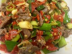 -壹盏灯(惠农店)