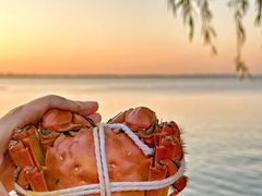 -品鲜村农家菜·阳澄湖大闸蟹(总店)