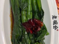 -老碗会·陕西手工面(前海世茂店)