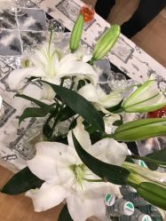 -FineYoga梵音瑜伽·普拉提