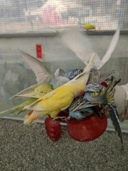 -萌宠亲子动物乐园(槐房万达店)