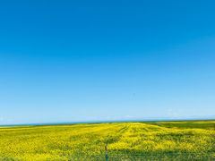 -青海湖国家重点风景名胜区