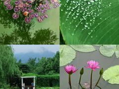 -国家植物园南园