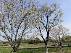 -梁鸿国家湿地公园