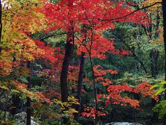 -本溪老边沟风景区