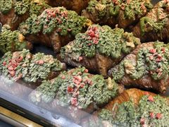 -月枫堂(长春这有山店)