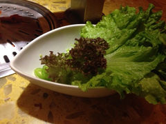 生菜-权金城