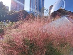 -北外滩滨江绿地