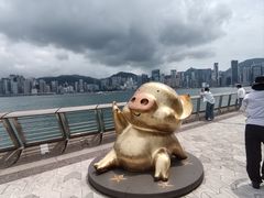 -星光大道
