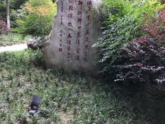-唐城墙遗址公园
