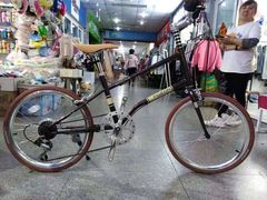 -道路口单车爱瓦士dahon大行