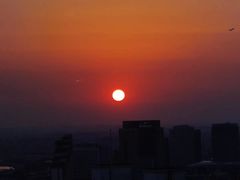 -龙之梦万丽酒店青餐厅