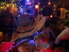 -城墙外BAR
