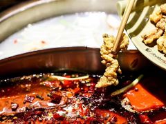 -渝味晓宇火锅(合川路店)