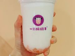 -一只酸奶牛(八一路店)