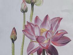 -八哥美术·成人美术画室(总校区)