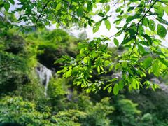 -萍乡武功山风景名胜区