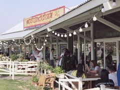 -栖露营camping·天幕烧烤·团建拓展·采摘营地