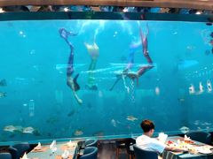 -瑞德姆美人鱼海底演艺主题餐厅(亚龙湾店)