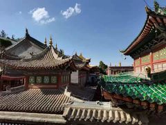 -塔尔寺-菩提树