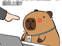 -蜜雪冰城(龙河路店)